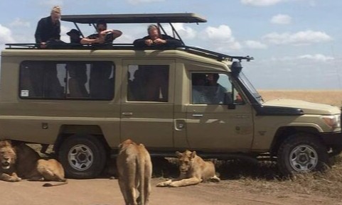 Mobirise Website Builder